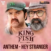 King Fish Anthem - Hey Stranger